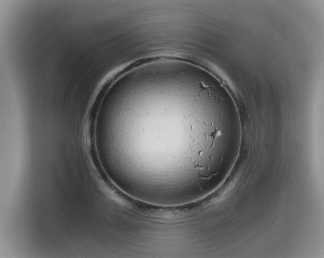 X0000115740987200911191442