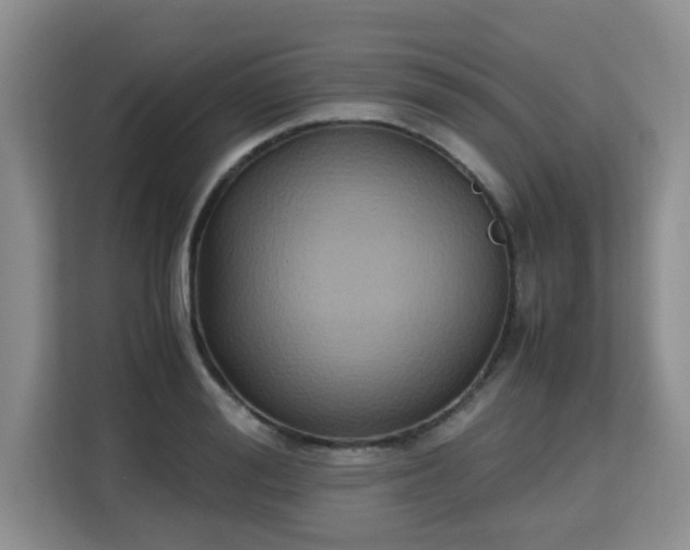 X0000115740988200911191442