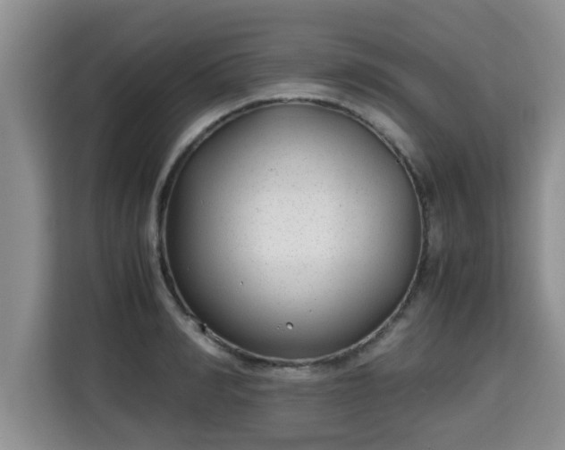 X0000115740990200911191442