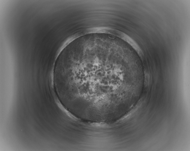 X0000115740994200911191441