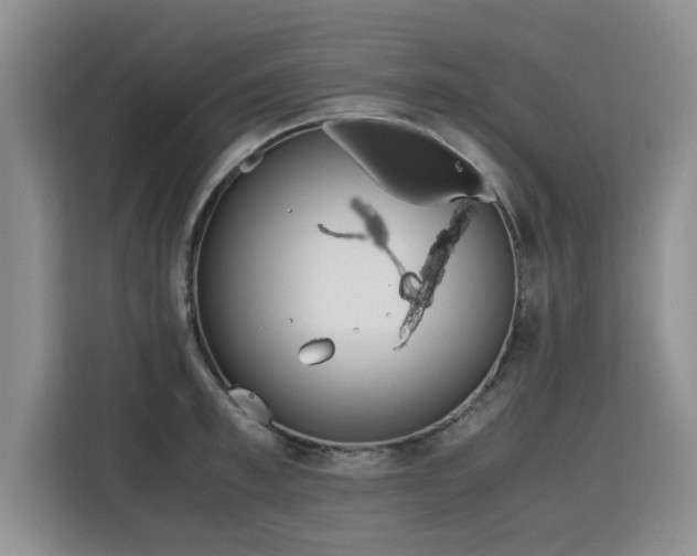 X0000115740997200911191441