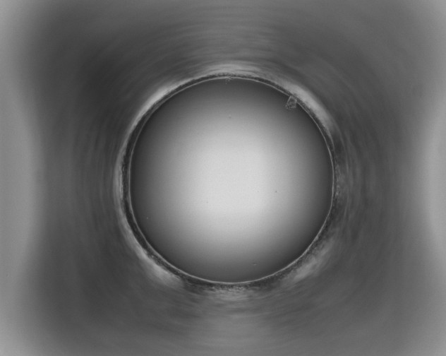 X0000115740999200911191441