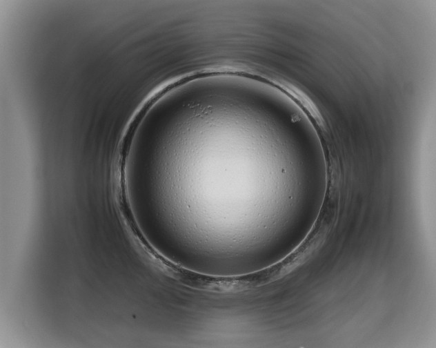 X0000115741000200911191441