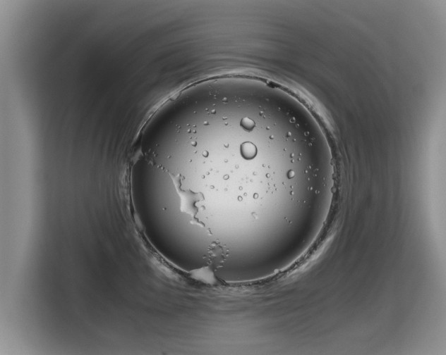 X0000115741001200911191441