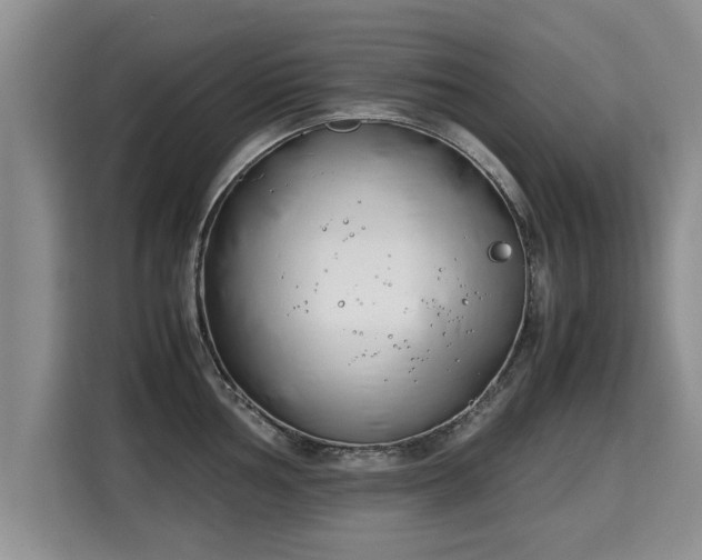 X0000115741002200911191441