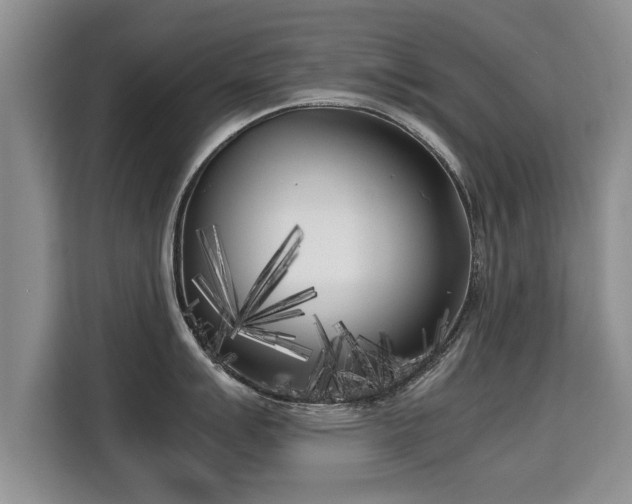 X0000115741007200911191441