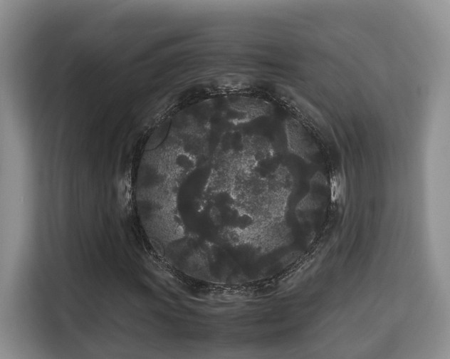 X0000115741011200911191441