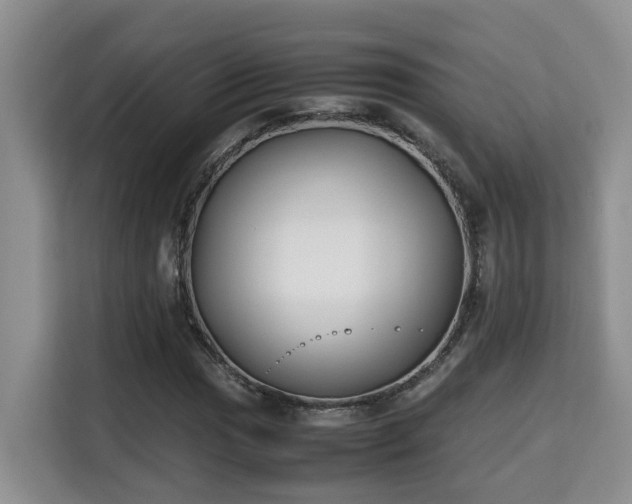 X0000115741017200911191441