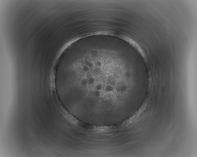 X0000115741019200911191441