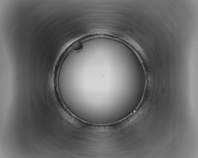 X0000115741020200911191441