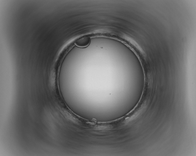 X0000115741021200911191441