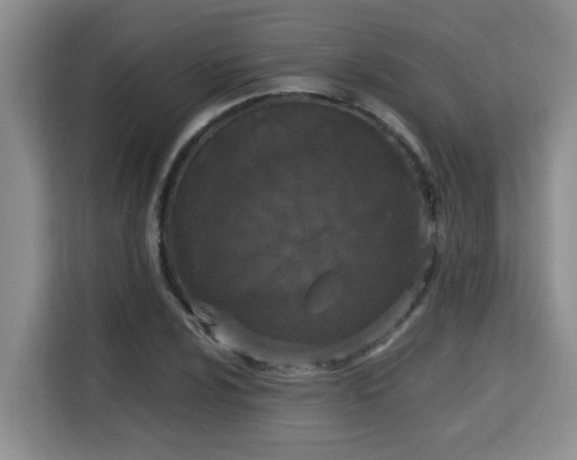 X0000115741024200911191441