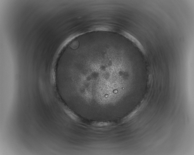 X0000115741027200911191441