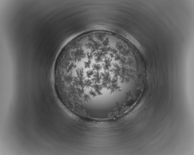 X0000115741028200911191441