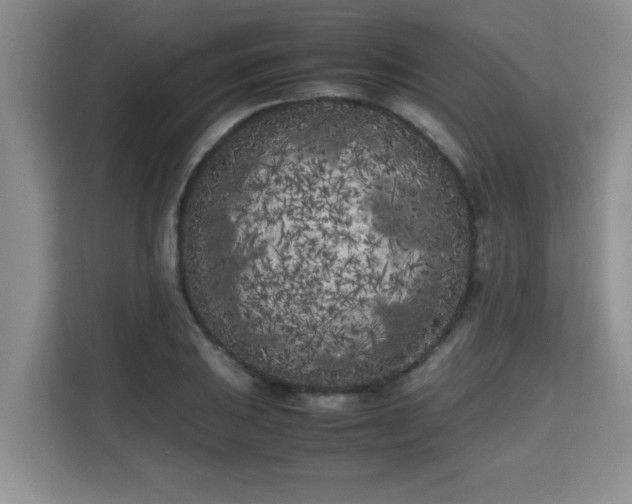 X0000115741031200911191441