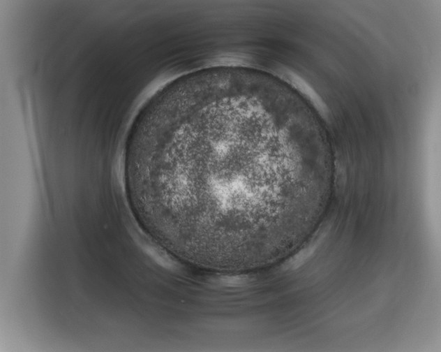 X0000115741035200911191441