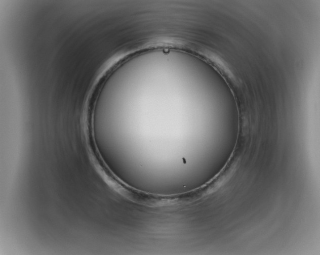 X0000115741038200911191441