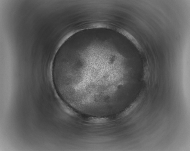 X0000115741039200911191441