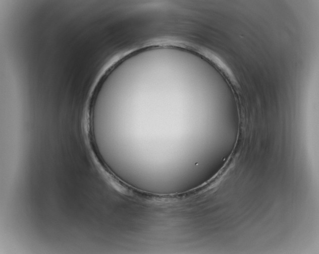 X0000115741040200911191441