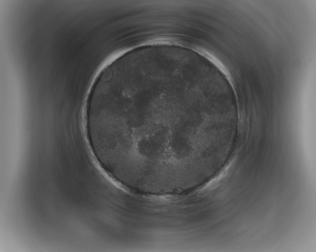 X0000115741045200911191441