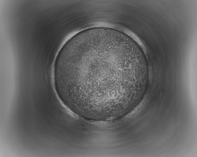 X0000115741048200911191441