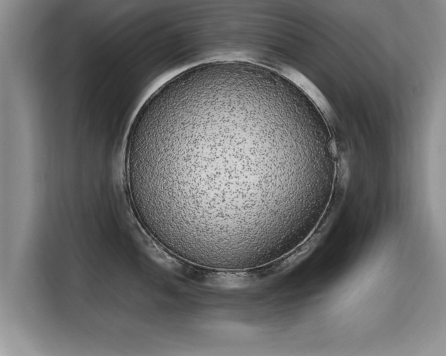 X0000115741052200911191441