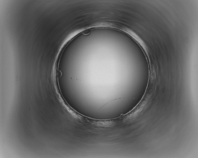 X0000115741053200911191441