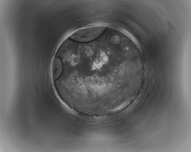 X0000115741055200911191441