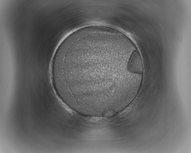 X0000115741056200911191441