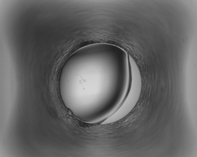 X0000115741057200911191441