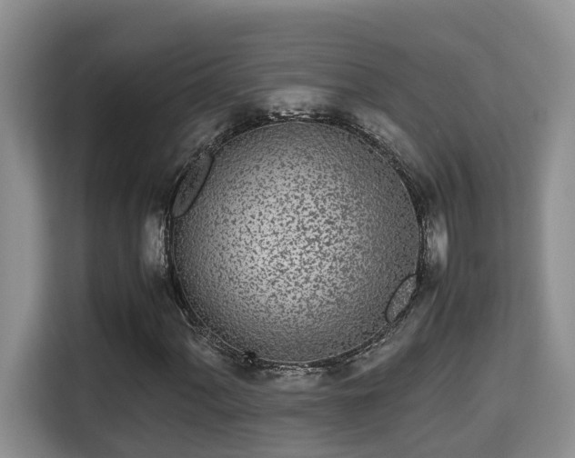 X0000115741060200911191441