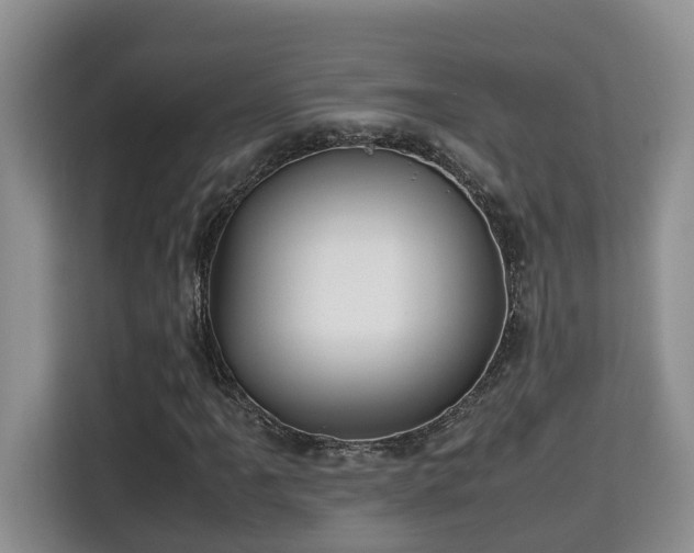 X0000115741061200911191441