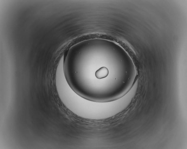 X0000115741064200911191441