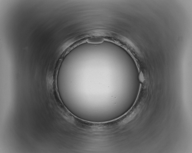 X0000115741065200911191441