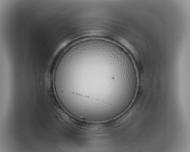 X0000115741067200911191441