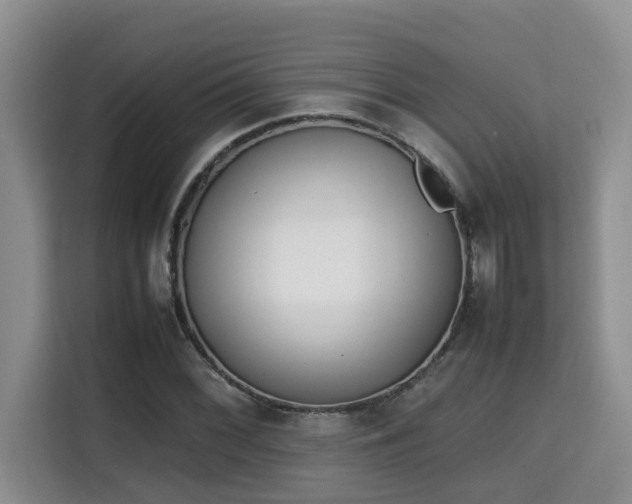 X0000115741068200911191441