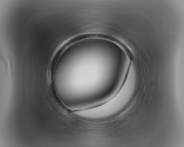 X0000115741069200911191441