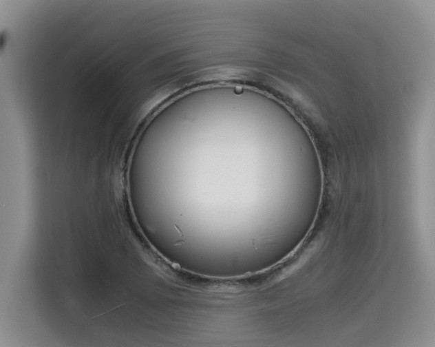 X0000115741073200911191440