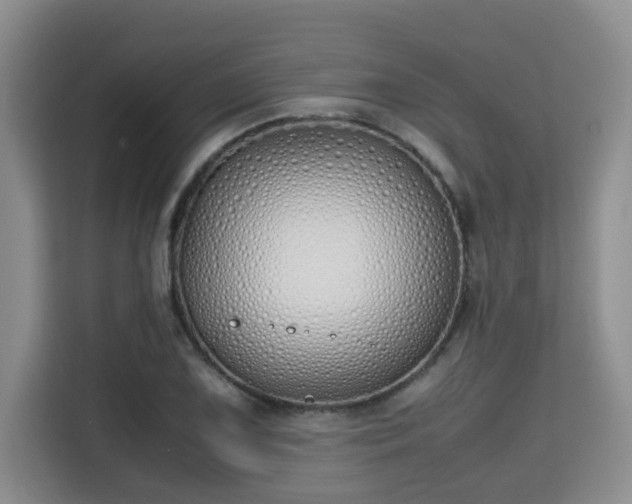 X0000115741075200911191440