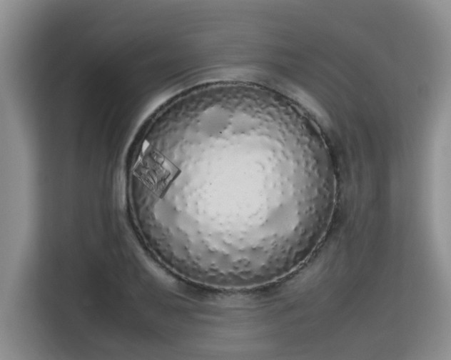 X0000115741079200911191440