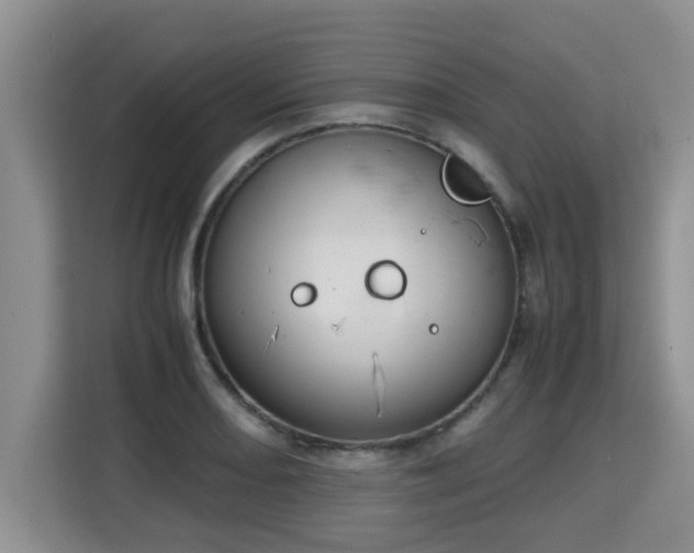 X0000115741082200911191440