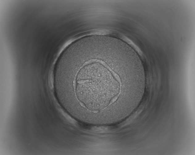 X0000115741083200911191440