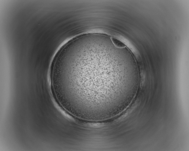 X0000115741084200911191440