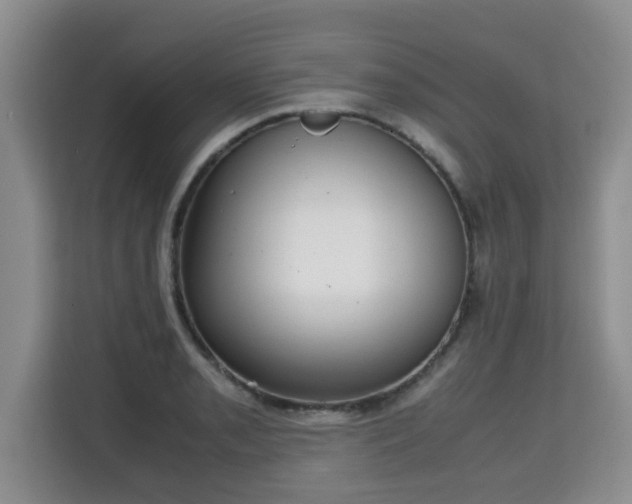 X0000115741085200911191440