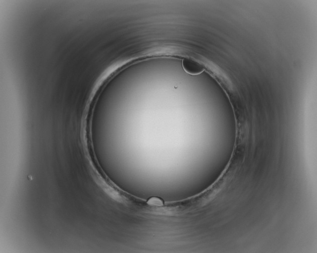 X0000115741086200911191440