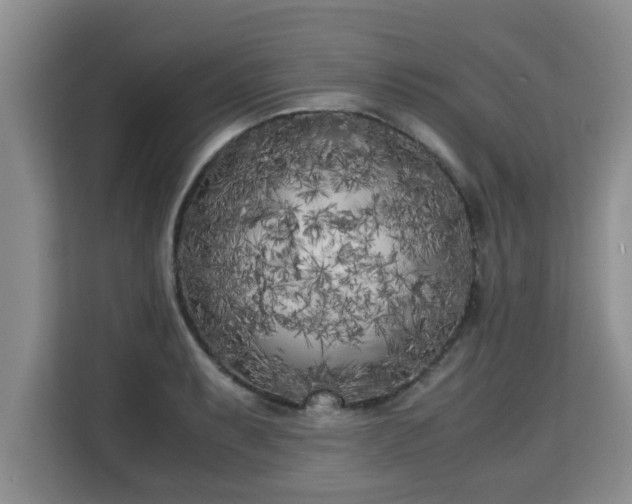 X0000115741087200911191440