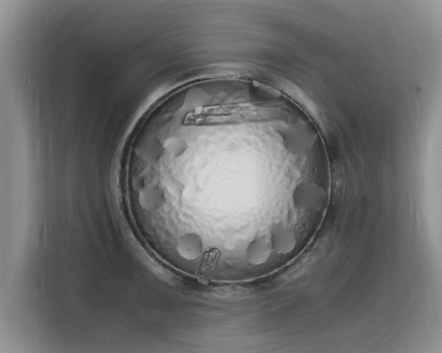 X0000115741091200911191440