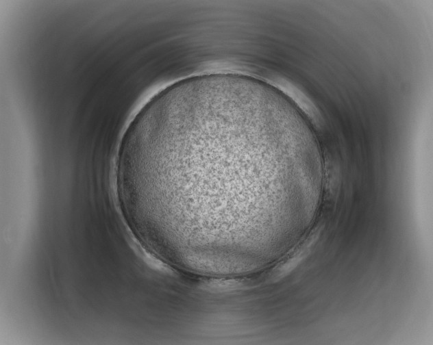 X0000115741094200911191440