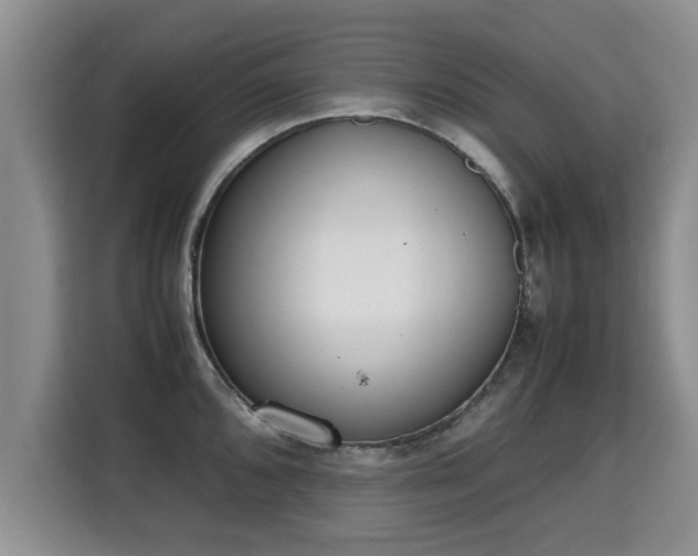 X0000115741096200911191440