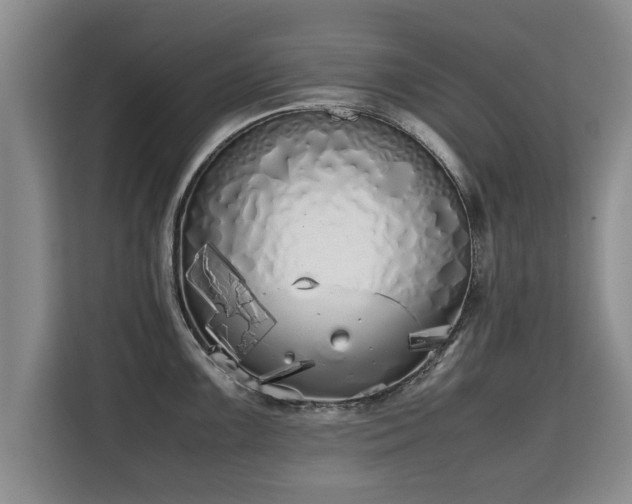 X0000115741099200911191440